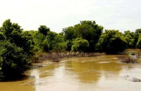 IMG-20260819-WA0017